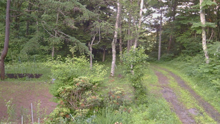 長野県菅平高原 ゆたか山荘 坂上 2026/06/30 18:15