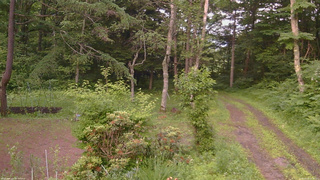 長野県菅平高原 ゆたか山荘 坂上 2026/06/30 18:30