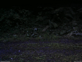 長野県菅平高原 ゆたか山荘 東側(坂下) 2026/07/01 19:15