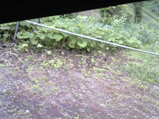 長野県菅平高原 ゆたか山荘 駐車場 2026/07/01 06:30