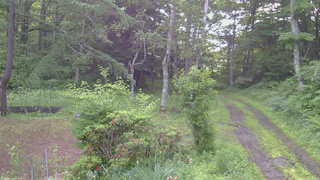 長野県菅平高原 ゆたか山荘 坂上 2026/07/01 05:15