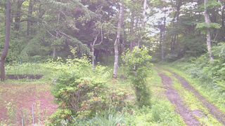 長野県菅平高原 ゆたか山荘 坂上 2026/07/01 05:30