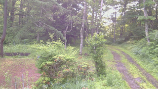長野県菅平高原 ゆたか山荘 坂上 2026/07/01 05:45