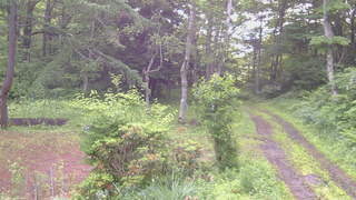 長野県菅平高原 ゆたか山荘 坂上 2026/07/01 06:00