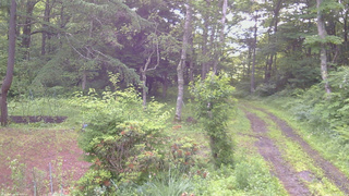 長野県菅平高原 ゆたか山荘 坂上 2026/07/01 06:15
