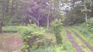 長野県菅平高原 ゆたか山荘 坂上 2026/07/01 06:30