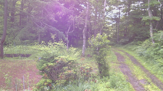 長野県菅平高原 ゆたか山荘 坂上 2026/07/01 06:45