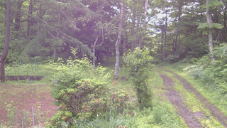 長野県菅平高原 ゆたか山荘 坂上 2026/07/01 07:00