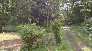 長野県菅平高原 ゆたか山荘 坂上 2026/07/01 08:15