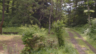 長野県菅平高原 ゆたか山荘 坂上 2026/07/01 08:45