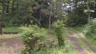 長野県菅平高原 ゆたか山荘 坂上 2026/07/01 09:15