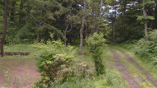 長野県菅平高原 ゆたか山荘 坂上 2026/07/01 10:00