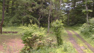 長野県菅平高原 ゆたか山荘 坂上 2026/07/01 10:15