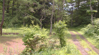 長野県菅平高原 ゆたか山荘 坂上 2026/07/01 10:45