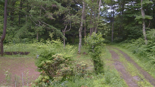 長野県菅平高原 ゆたか山荘 坂上 2026/07/01 13:15