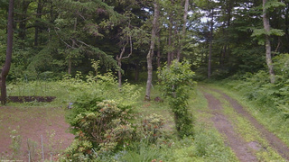 長野県菅平高原 ゆたか山荘 坂上 2026/07/01 13:45