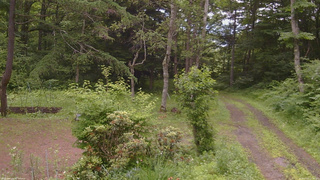 長野県菅平高原 ゆたか山荘 坂上 2026/07/01 15:00