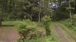 長野県菅平高原 ゆたか山荘 坂上 2026/07/01 16:00