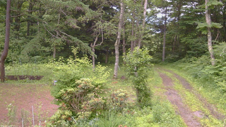 長野県菅平高原 ゆたか山荘 坂上 2026/07/01 16:45