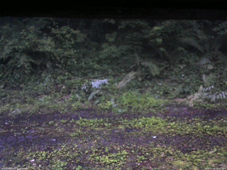 長野県菅平高原 ゆたか山荘 東側(坂下) 2026/07/02 18:45