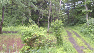 長野県菅平高原 ゆたか山荘 坂上 2026/07/02 05:45