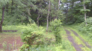 長野県菅平高原 ゆたか山荘 坂上 2026/07/02 06:15