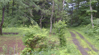 長野県菅平高原 ゆたか山荘 坂上 2026/07/02 06:30