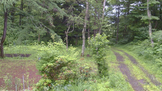長野県菅平高原 ゆたか山荘 坂上 2026/07/02 06:45