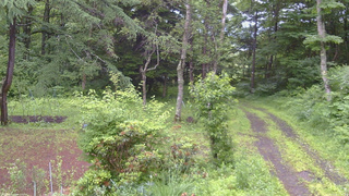 長野県菅平高原 ゆたか山荘 坂上 2026/07/02 07:00