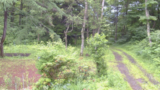 長野県菅平高原 ゆたか山荘 坂上 2026/07/02 07:15