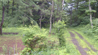 長野県菅平高原 ゆたか山荘 坂上 2026/07/02 07:30