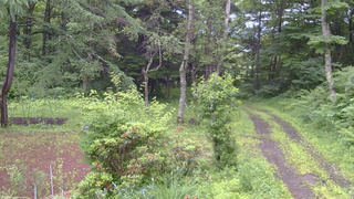 長野県菅平高原 ゆたか山荘 坂上 2026/07/02 07:45