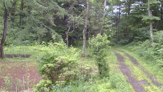 長野県菅平高原 ゆたか山荘 坂上 2026/07/02 08:15