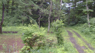 長野県菅平高原 ゆたか山荘 坂上 2026/07/02 08:30