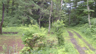 長野県菅平高原 ゆたか山荘 坂上 2026/07/02 09:00