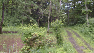 長野県菅平高原 ゆたか山荘 坂上 2026/07/02 09:15