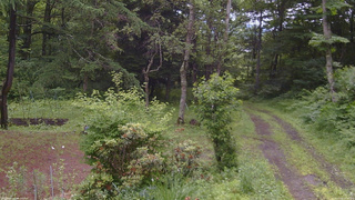 長野県菅平高原 ゆたか山荘 坂上 2026/07/02 09:30