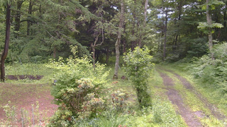 長野県菅平高原 ゆたか山荘 坂上 2026/07/02 09:45
