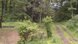 長野県菅平高原 ゆたか山荘 坂上 2026/07/02 10:15