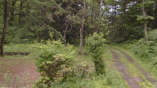 長野県菅平高原 ゆたか山荘 坂上 2026/07/02 10:30