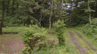 長野県菅平高原 ゆたか山荘 坂上 2026/07/02 10:45