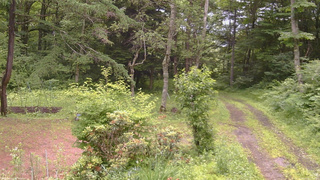 長野県菅平高原 ゆたか山荘 坂上 2026/07/02 11:00