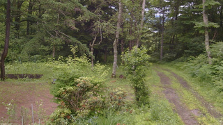 長野県菅平高原 ゆたか山荘 坂上 2026/07/02 11:30