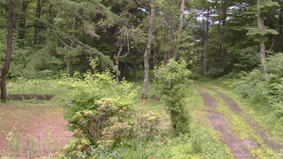 長野県菅平高原 ゆたか山荘 坂上 2026/07/02 12:15