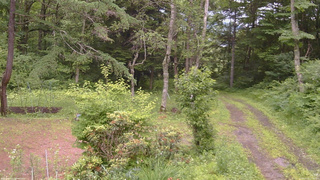 長野県菅平高原 ゆたか山荘 坂上 2026/07/02 12:30