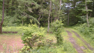 長野県菅平高原 ゆたか山荘 坂上 2026/07/02 12:45