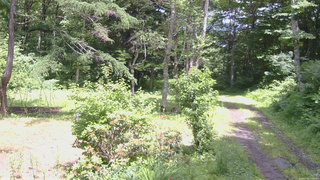 長野県菅平高原 ゆたか山荘 坂上 2026/07/02 13:00