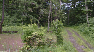 長野県菅平高原 ゆたか山荘 坂上 2026/07/02 13:45