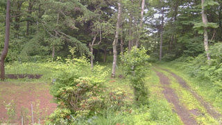 長野県菅平高原 ゆたか山荘 坂上 2026/07/02 17:15