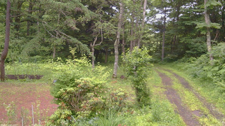 長野県菅平高原 ゆたか山荘 坂上 2026/07/02 17:45